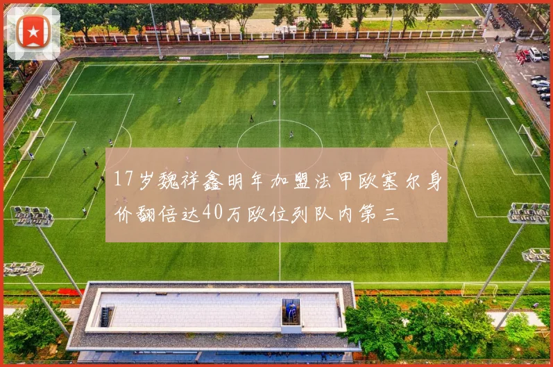17岁魏祥鑫明年加盟法甲欧塞尔身价翻倍达40万欧位列队内第三